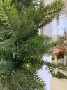 Weihnachtsbaum