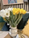 Tulpenbund (5er)