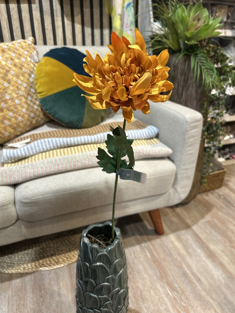 Chrysantheme am Stiel