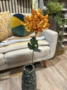 Chrysantheme am Stiel