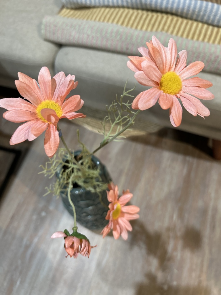 Gänseblümchen am Stiel