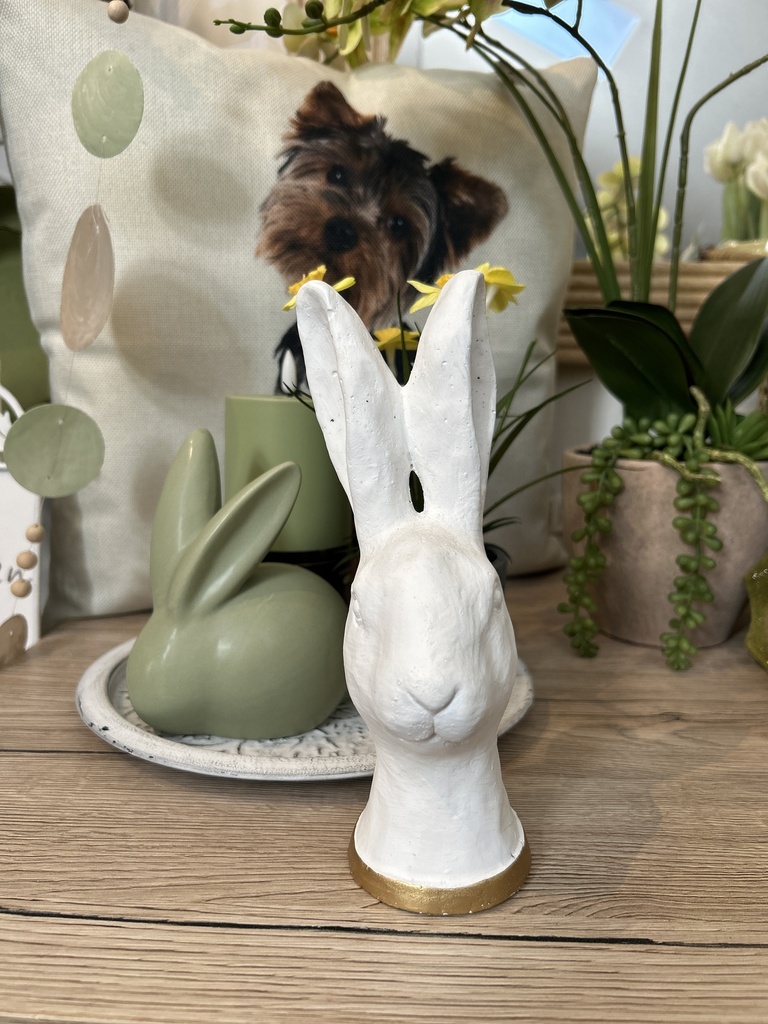 Hasenkopf weiß/gold