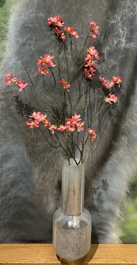 Blütenzweig rosa