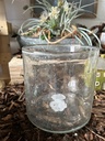Teelichthalter Glas