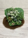 Sukkulenten-Mix-Bouquet