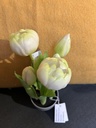 Tulpentopf weiß
