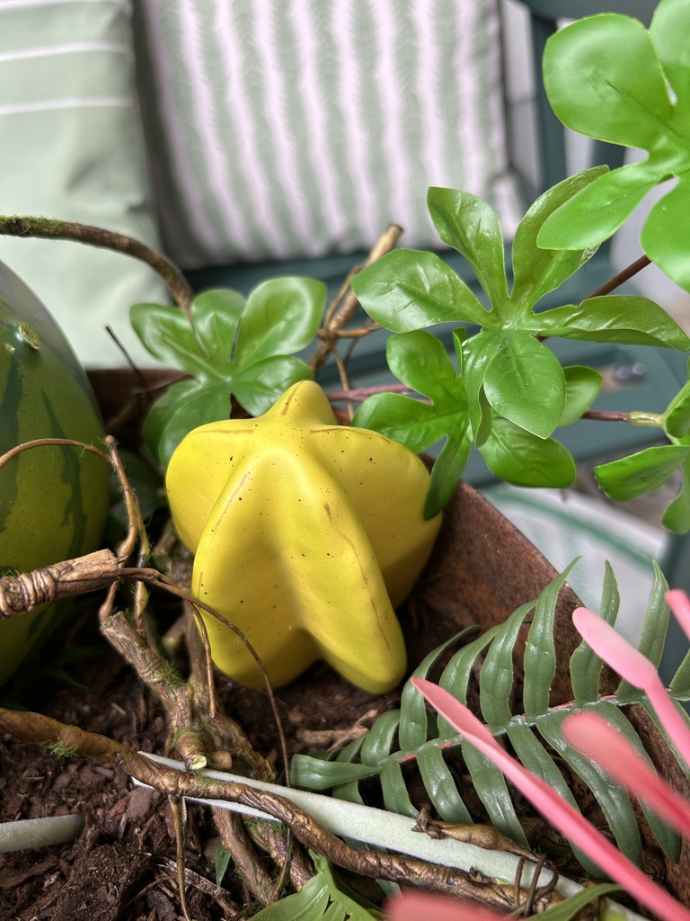 Sternfrucht (Kunststoff)