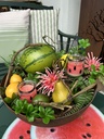 Sternfrucht (Kunststoff)