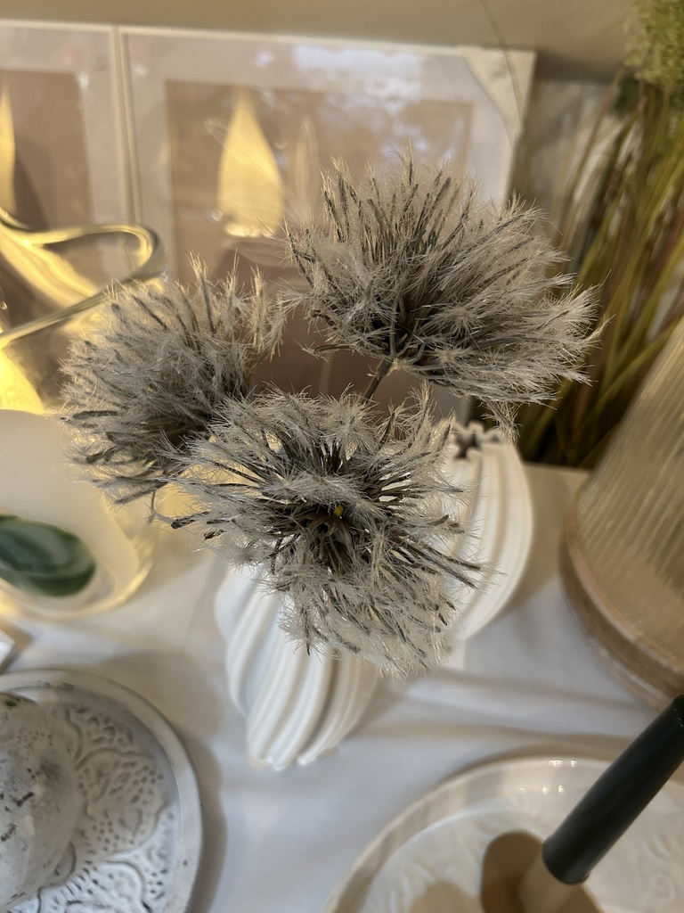 Clematisblüte