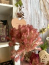 Herbstzweig Cotinus dunkelrosa