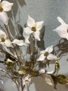 Cornus weiß, 118 cm