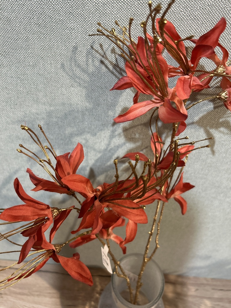 Monarda, lachs
