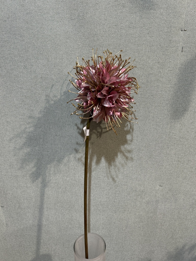 Monarda, lila-gold