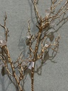 Diamantzweig gold