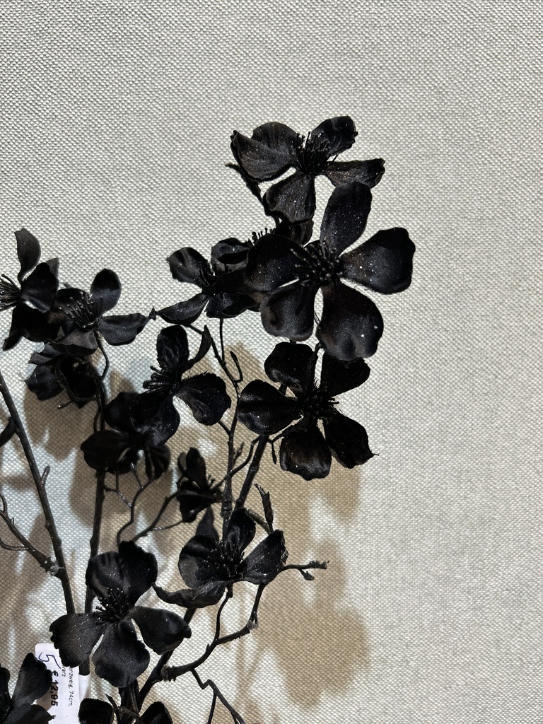 Blütenzweig schwarz
