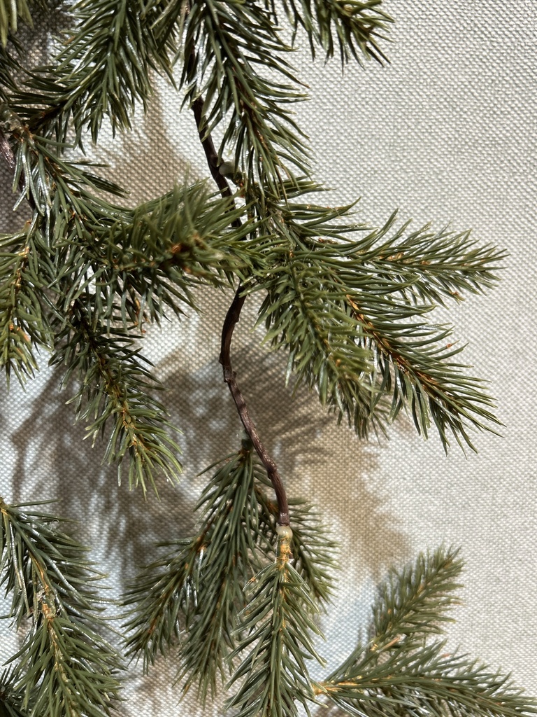 Tannenhänger grün
