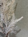 Farnzweig naturweiß