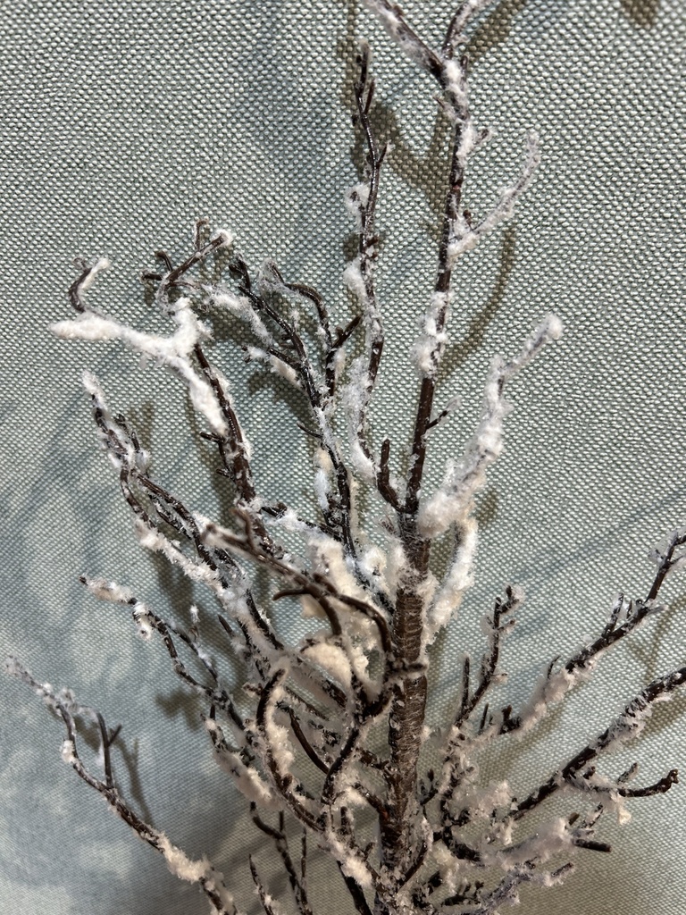 Winterzweig verschneit