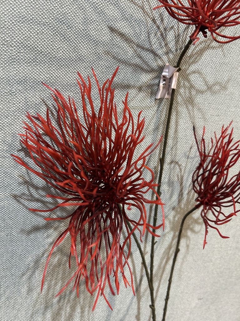 Distelzweig rot