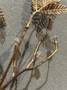 Blattzweig mit Diamanten gold