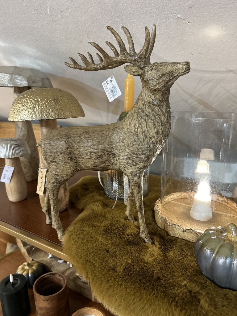 Hirsch "Joran"