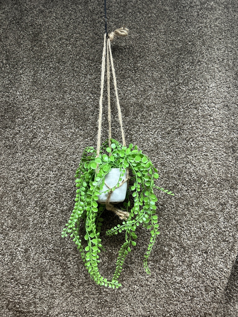 Kunst-Hängepflanze (Sukkulente)