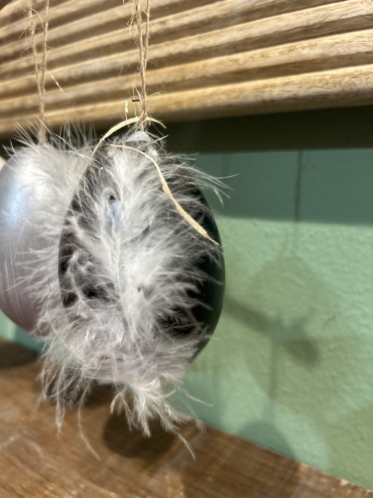 Ostereier Box 6er (Gänseeier) mit Feder