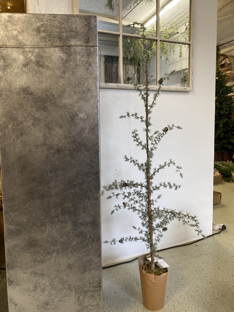 Weihnachtsbaum mit Beleuchtung