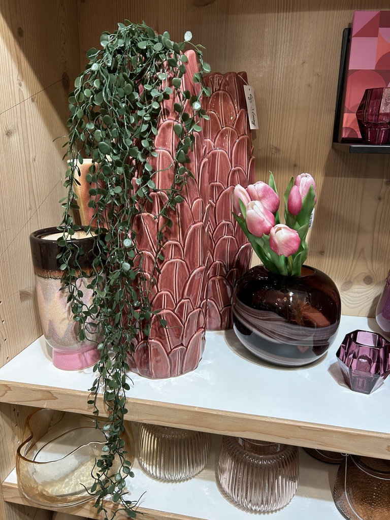 Mühlenbeckia-Hänger (dunkelgrün)