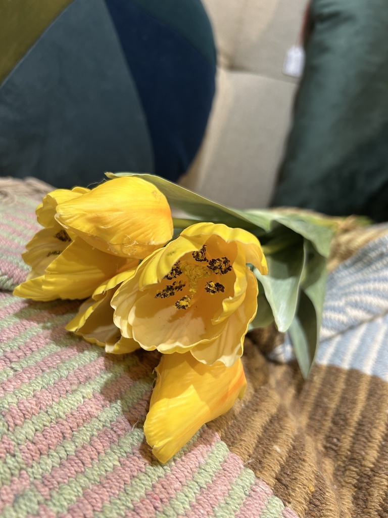 Tulpenbund (5er)