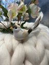 Feder Vogel