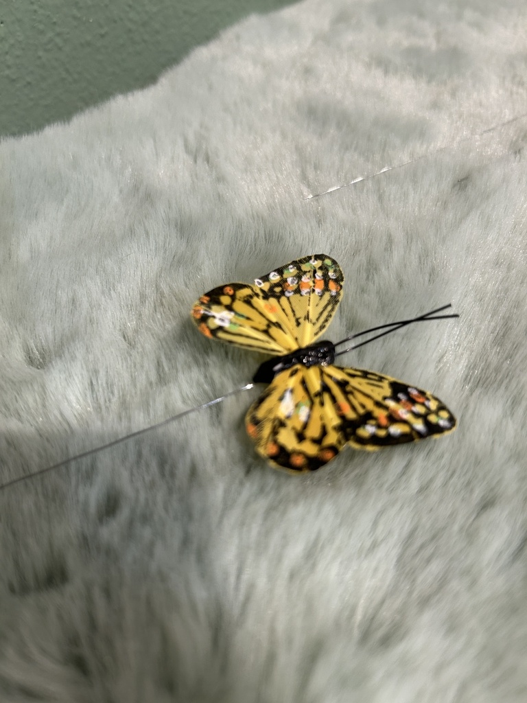 Schmetterling (bunt) am Draht