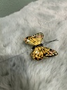 Schmetterling (bunt) am Draht