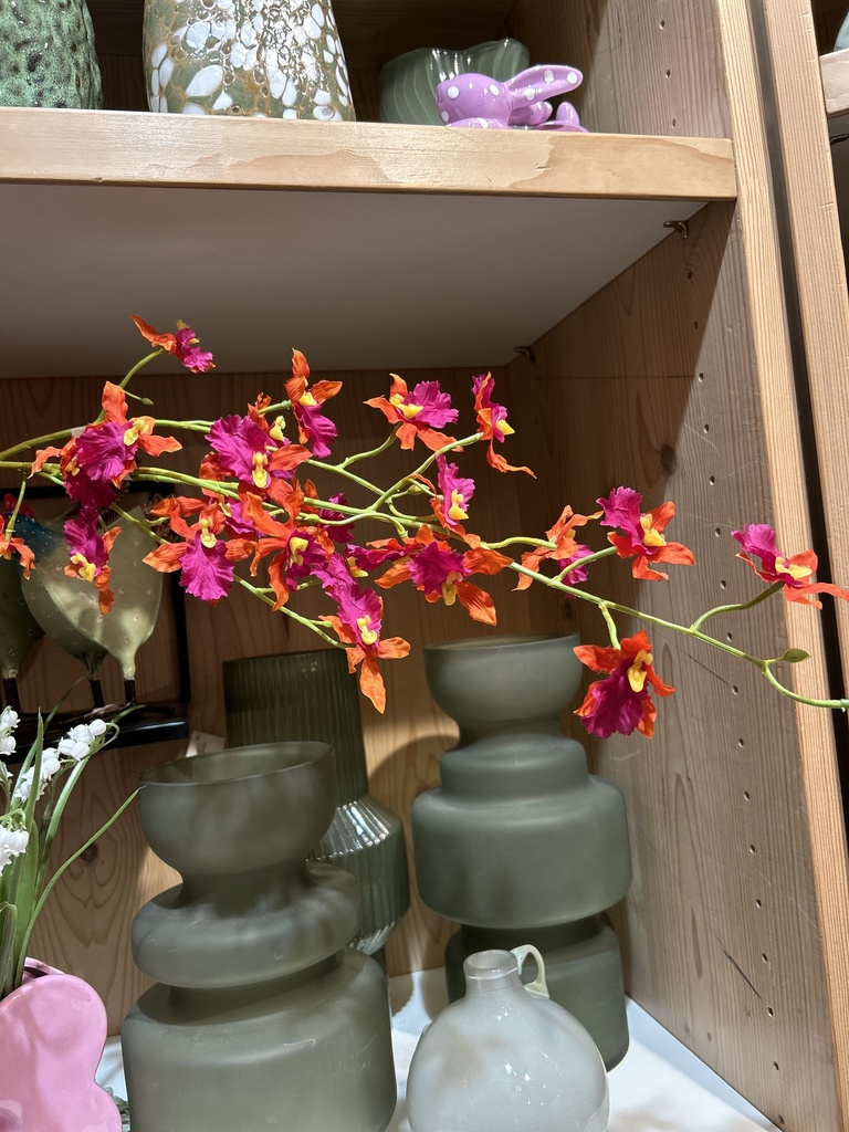 Epidendrum