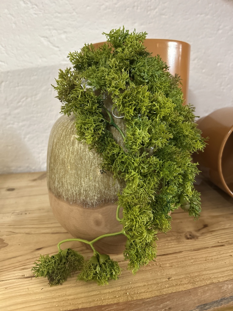 Islandmoos Hänger