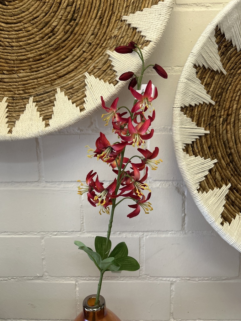 Wildlilienzweig
