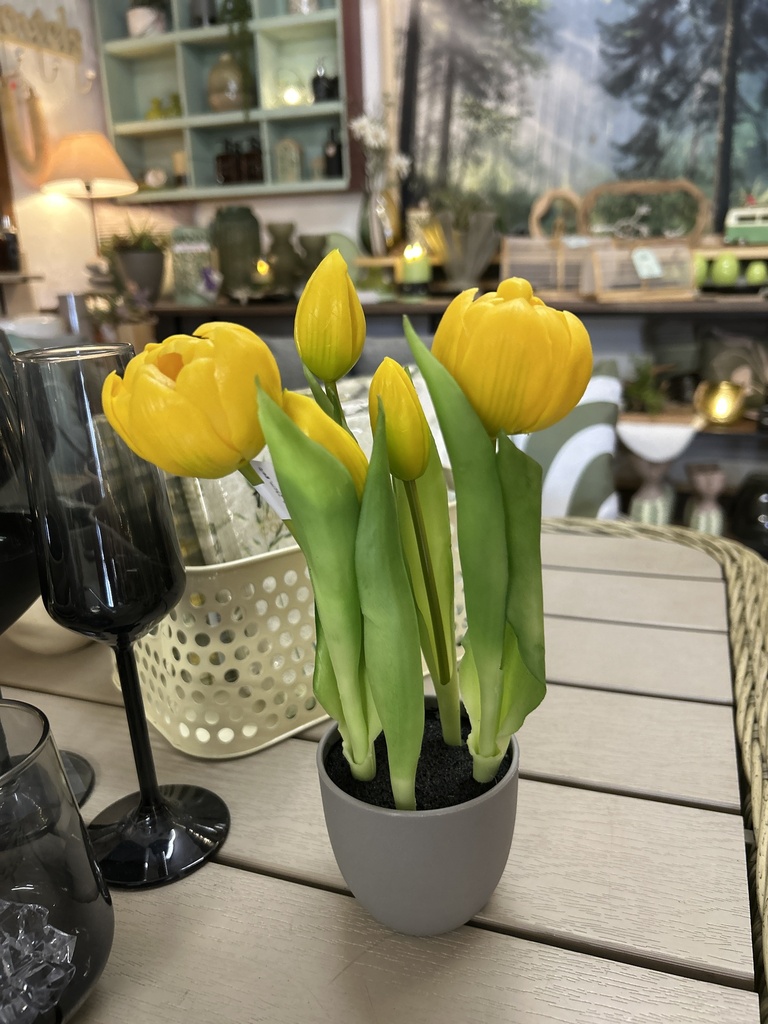 Tulpentopf gelb