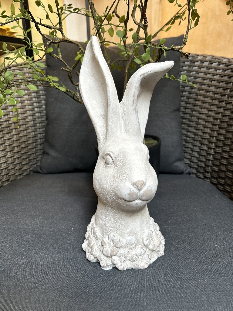 Hasenkopf mit Blütenkrause