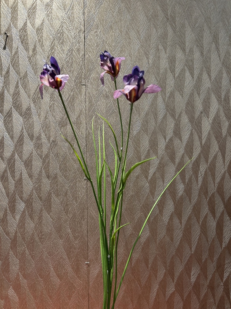 Miniiris mit Gras (lila)