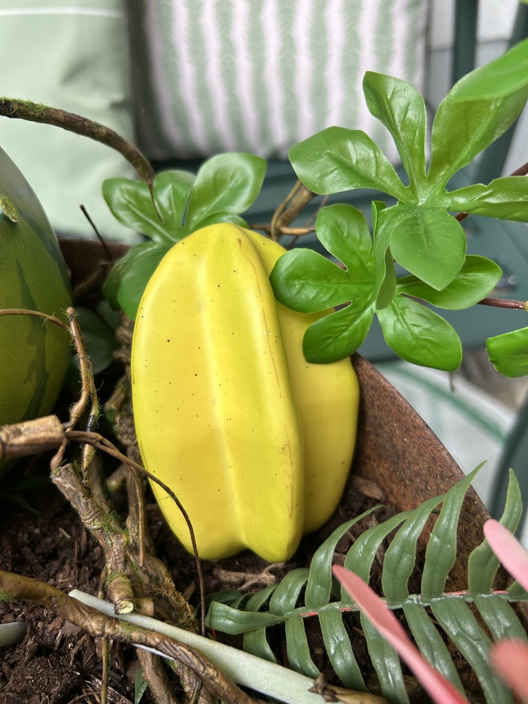 Sternfrucht (Kunststoff)