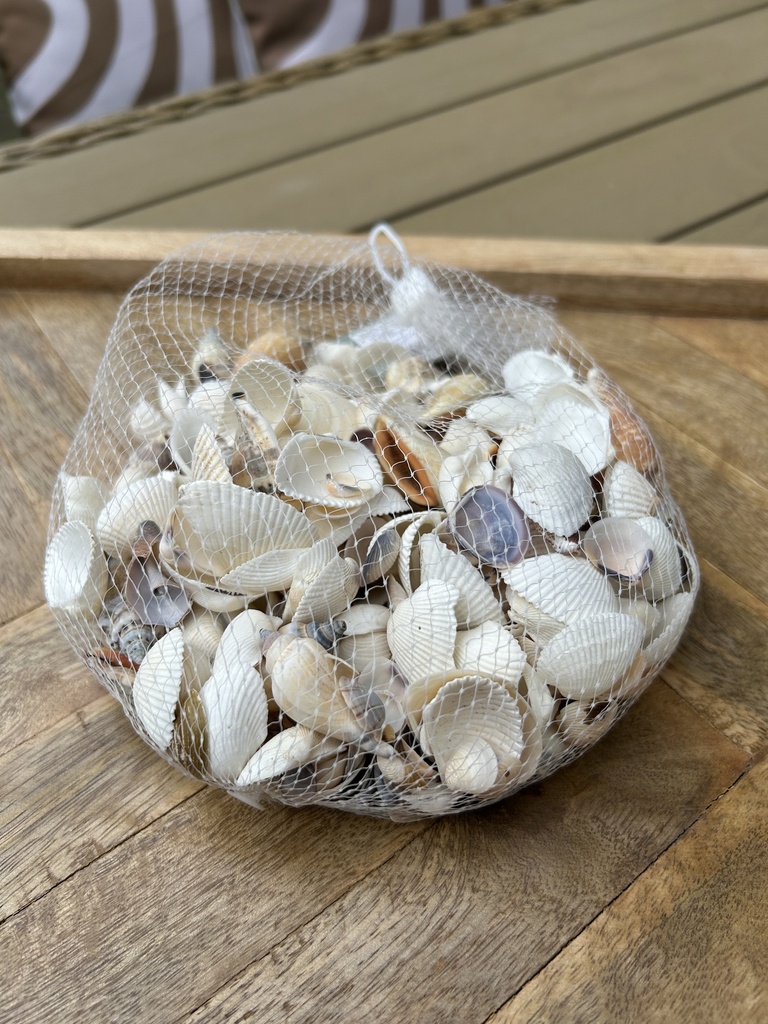 Muschelset sortiert