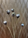 Mohn wolkenblau