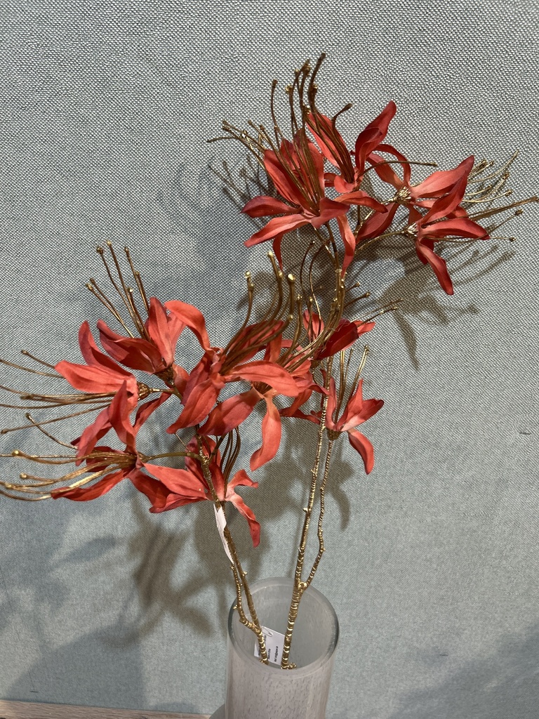 Monarda, lachs