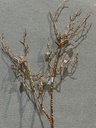 Diamantzweig gold