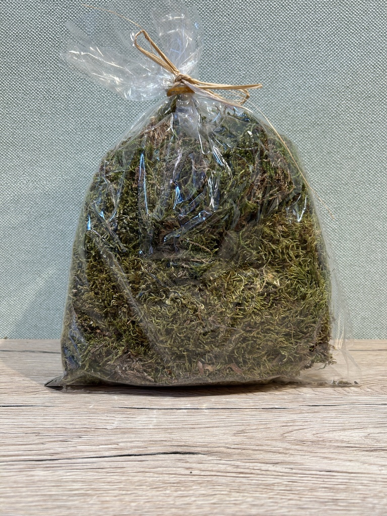 Moos grün natürlich