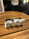 Glitzervögel auf Clip
