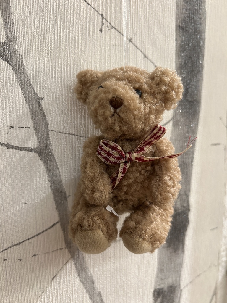 Weihnachtsanhänger Teddybär