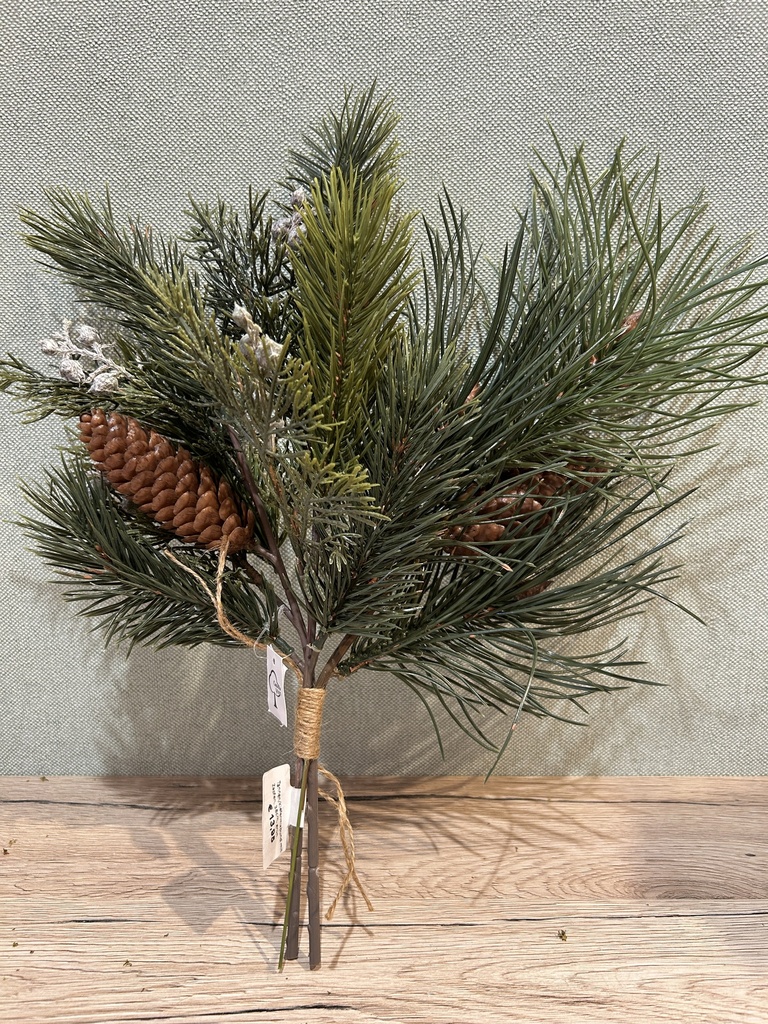Tannen/Kiefernmixbund mit Zapfen