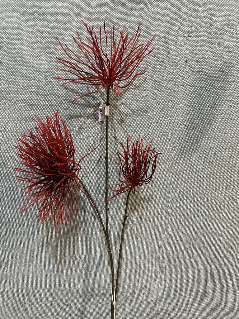 Distelzweig rot