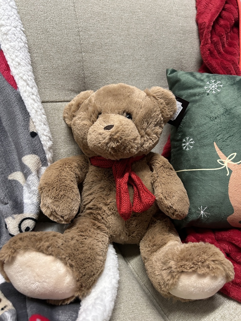 Teddybär mit Schal
